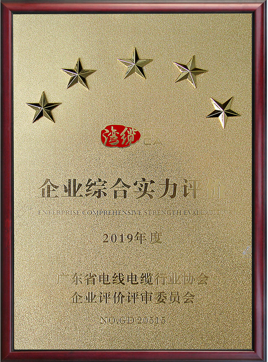 巅峰国际网站(中国游)官网