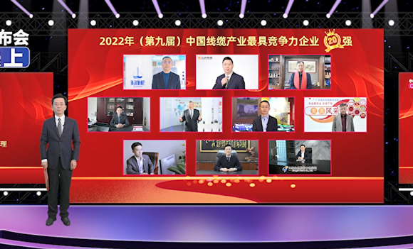 广东前三！莞企巅峰国际电缆荣获行业大奖