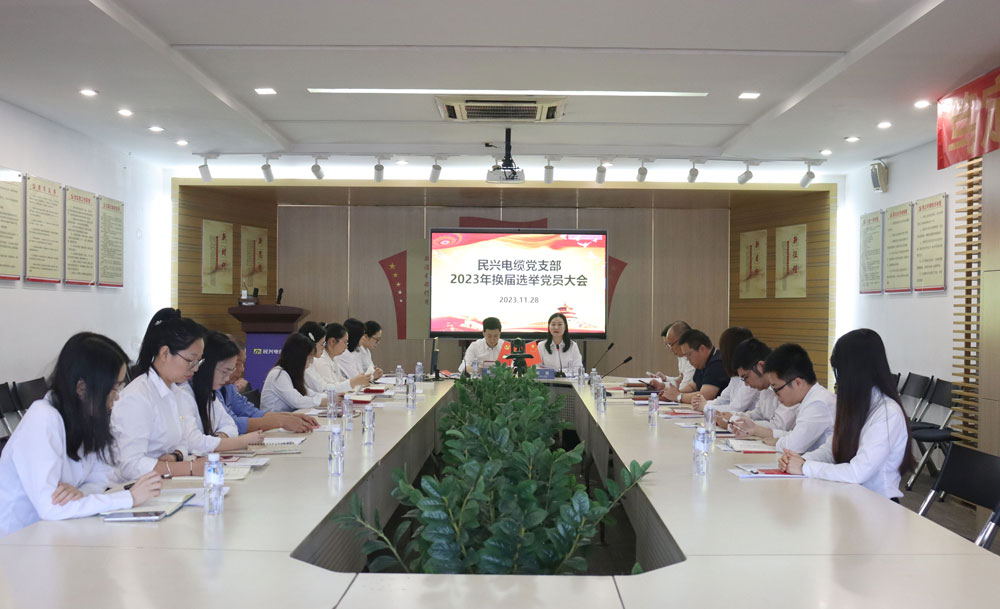 巅峰国际网站(中国游)官网