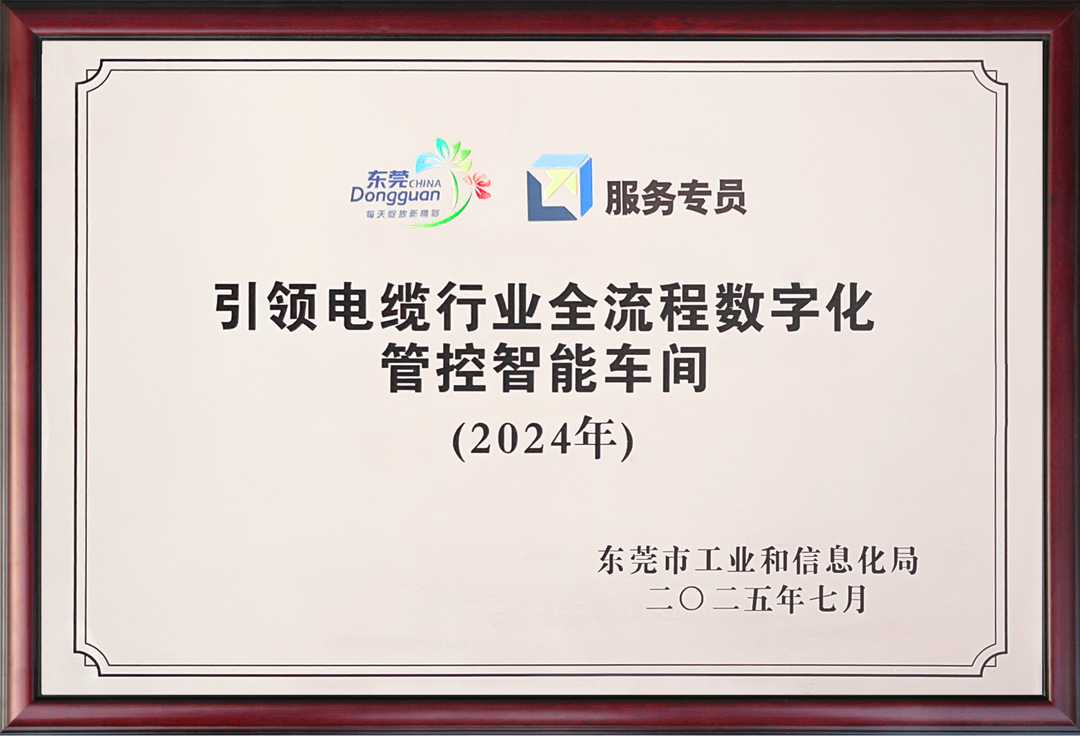 巅峰国际网站(中国游)官网